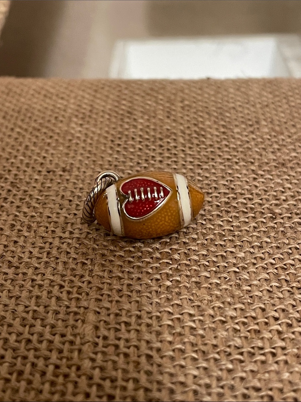 Brighton Football Charm